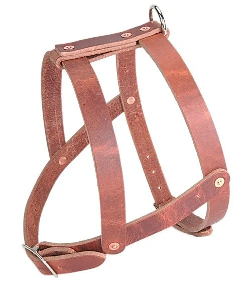 Old World Leather Military Spec Harness