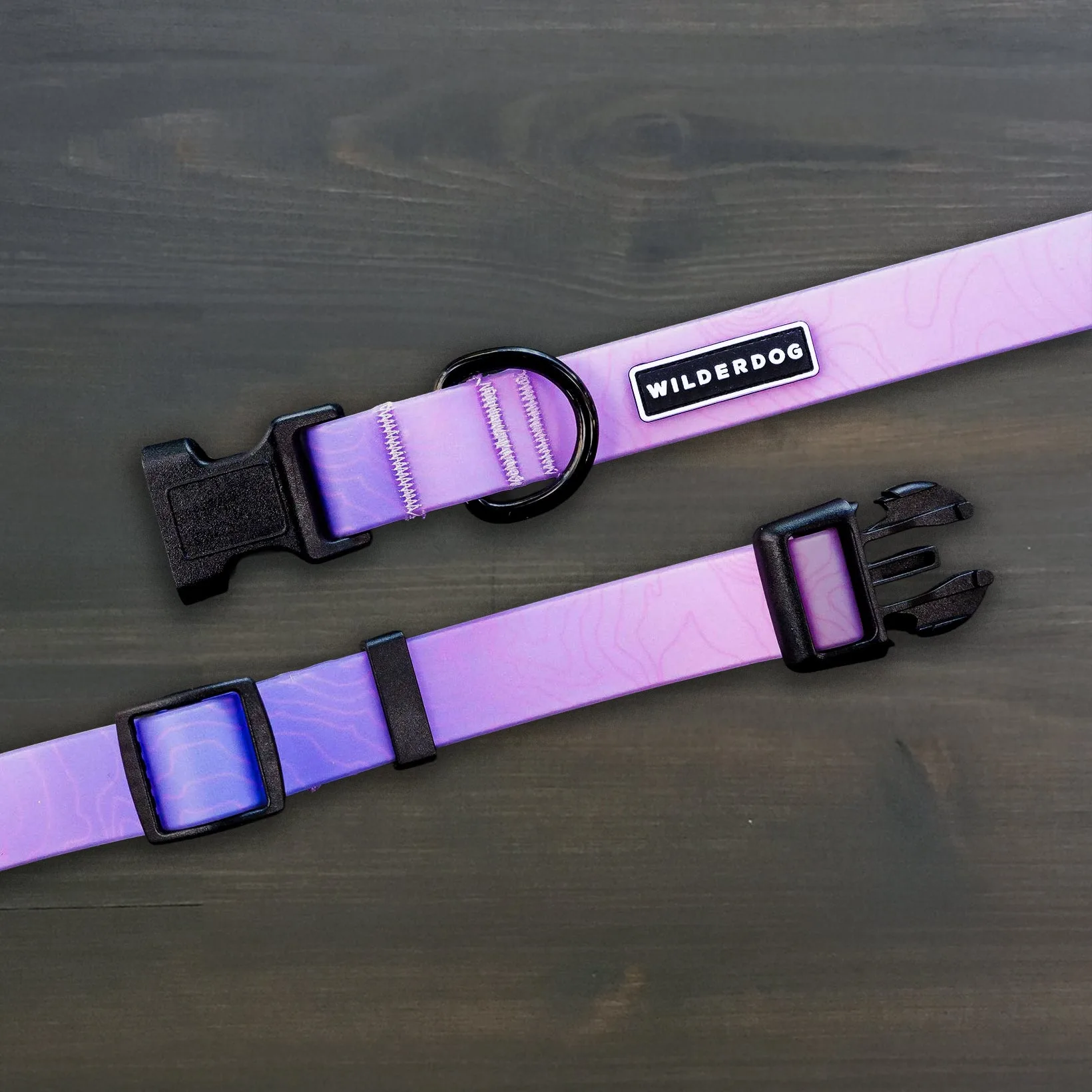 Aurora Waterproof Collar Review: Style and Function for Wet Adventures