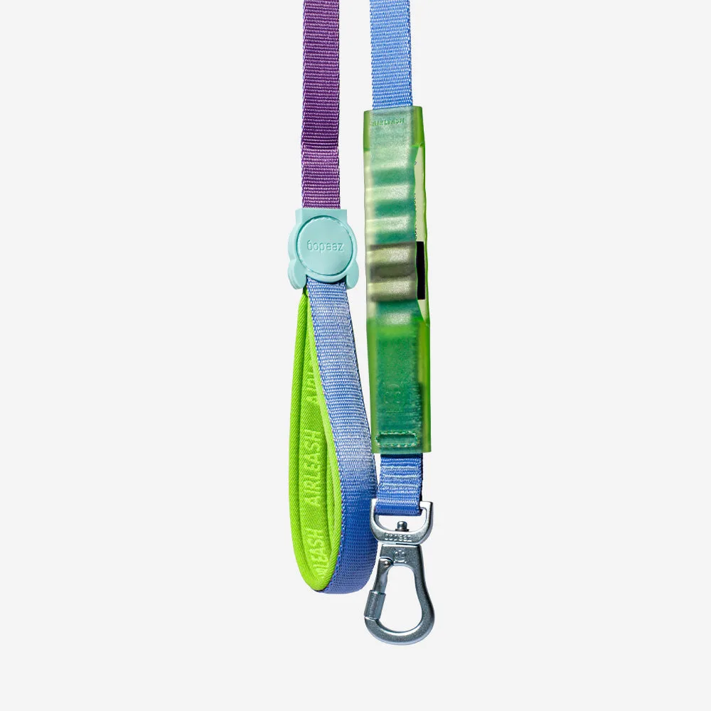 Airleash vs. Ruff Leash: Which Hands-Free Leash Is Right for Your Dog?