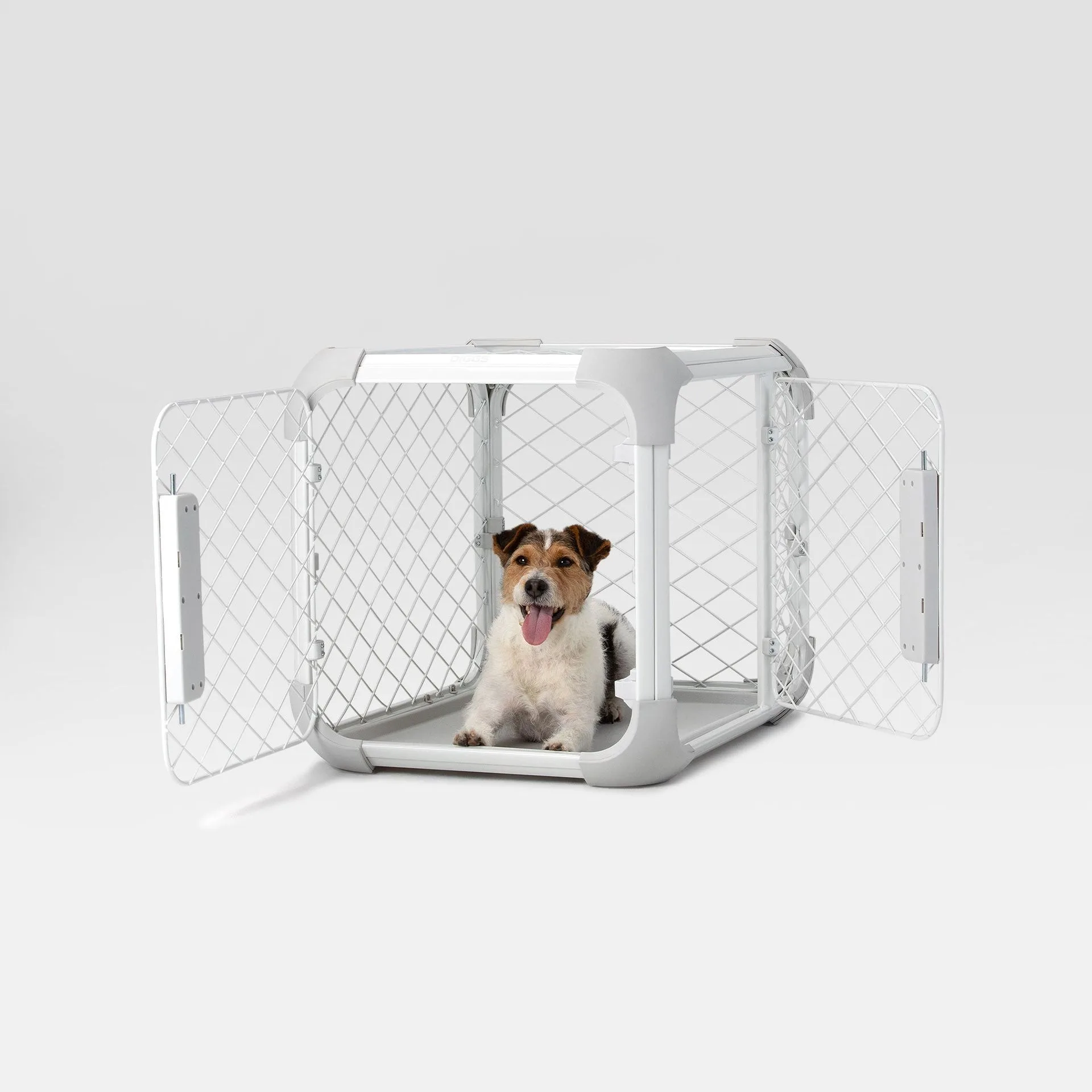 Crate Training for Anxious Dogs: A Step-by-Step Guide to Building Confidence