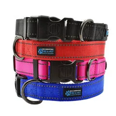 The Benefits of Using a Reflective Collar for Nighttime Walks with Your Dog