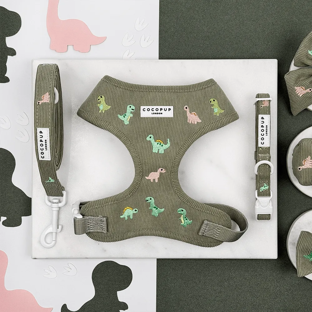 Dino Doodles Adjustable Neck Harness, Lead & Collar Bundle