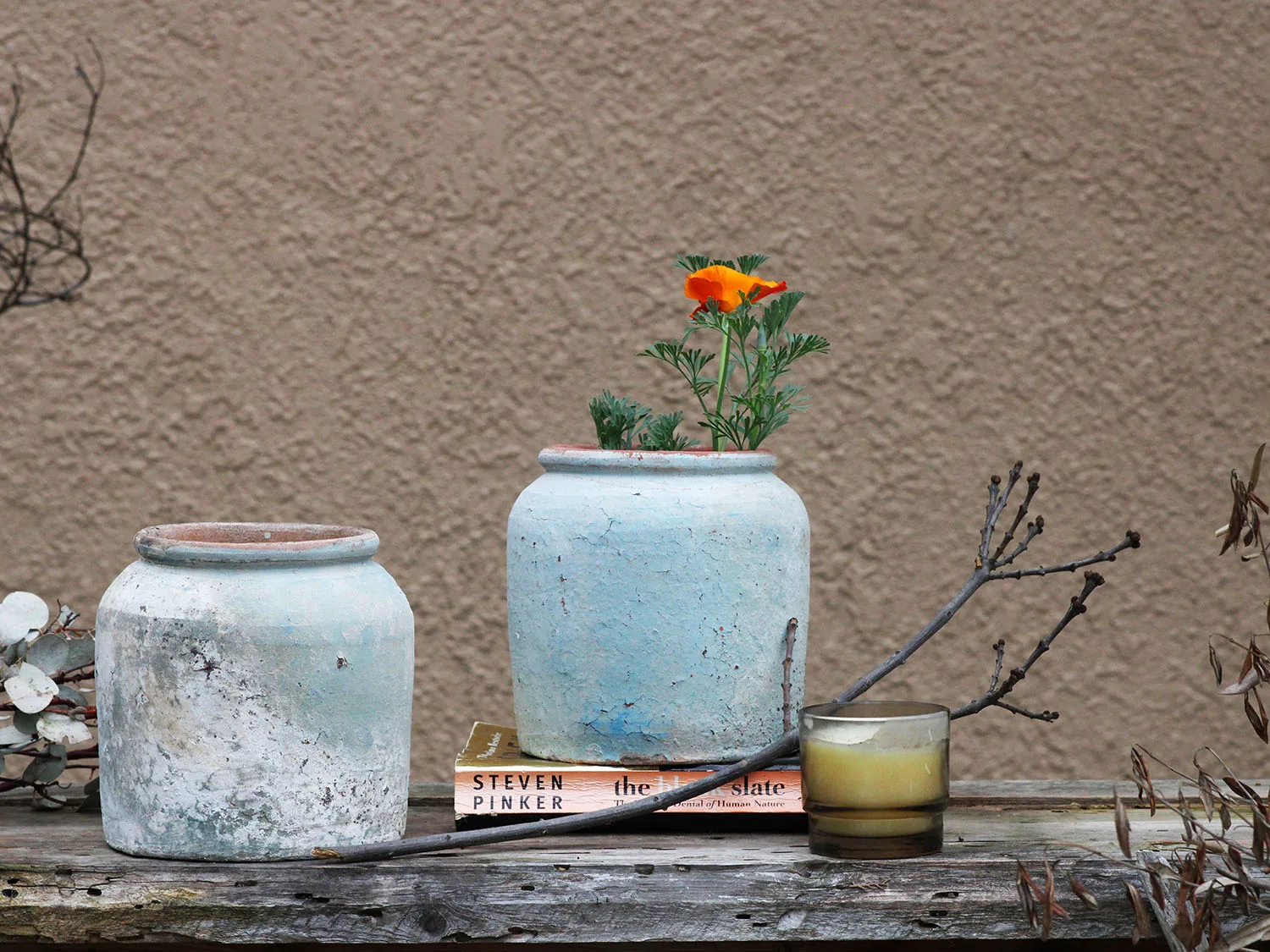 Indoor Planter vs Outdoor Planter: What Actually Changes for Your Plants