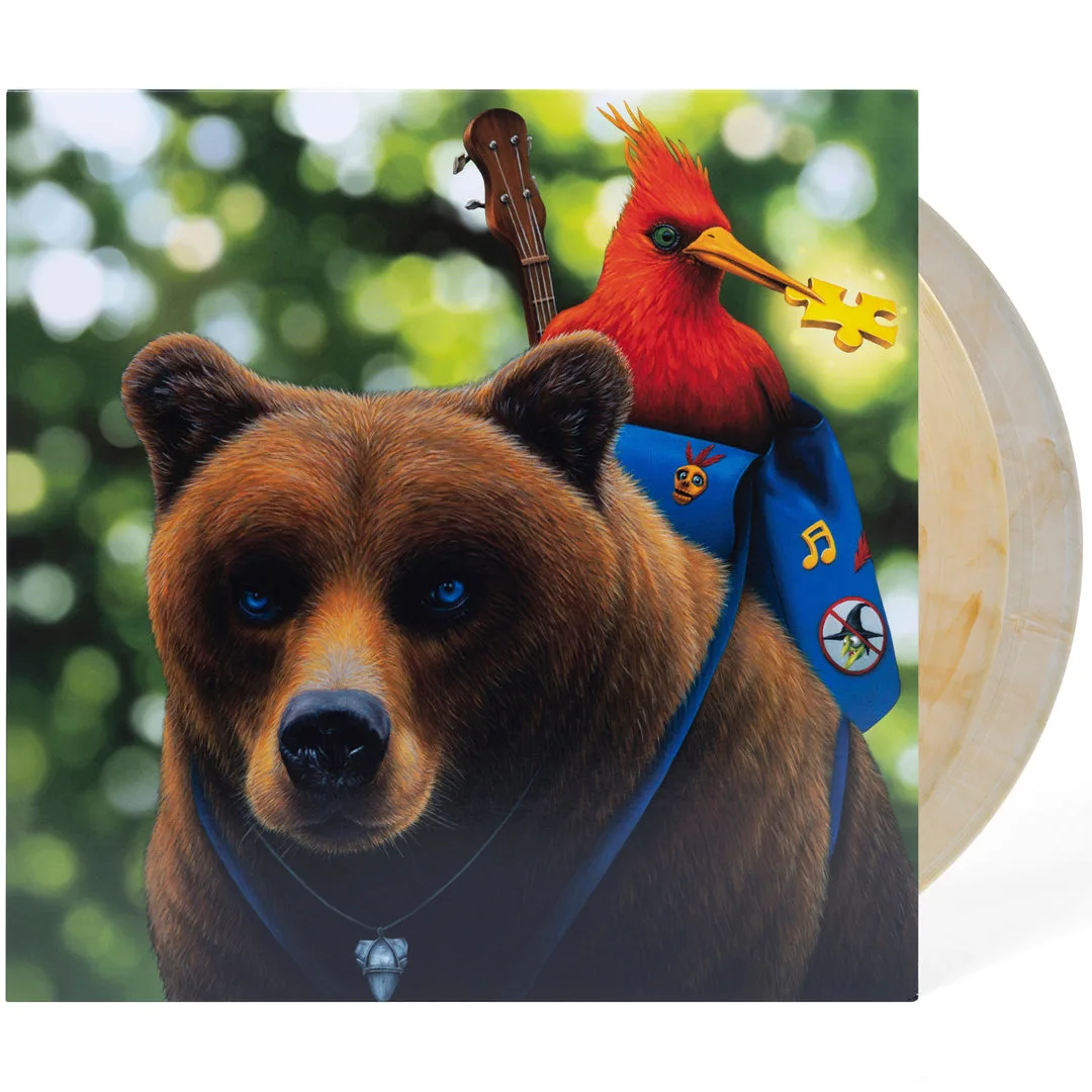 Why Your Vinyl Records Sound Crackly and How to Fix It