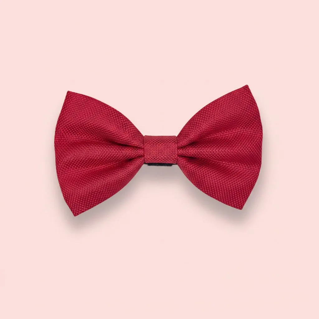 How to Tie a Dog Bow Tie for a Special Occasion