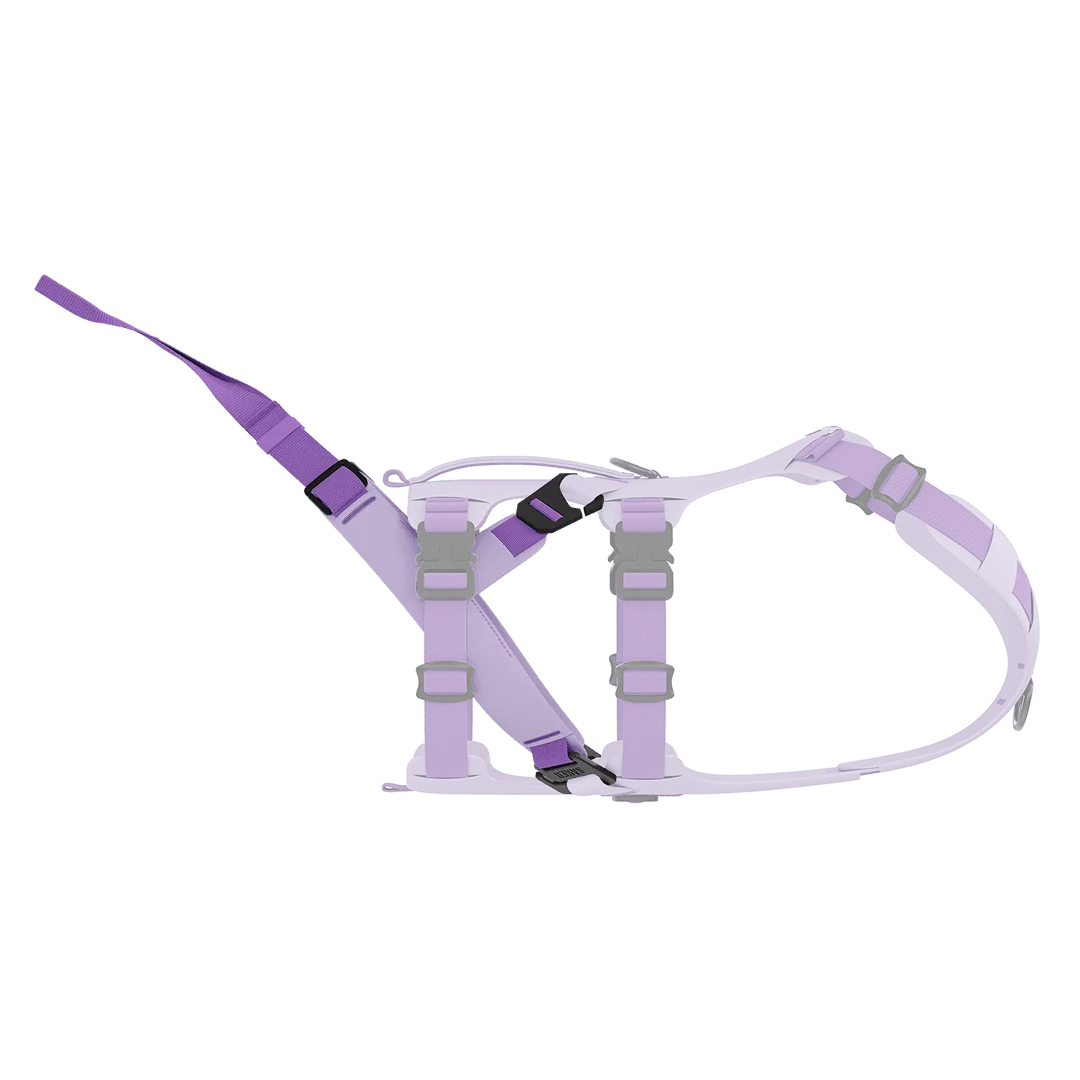 Traction 001