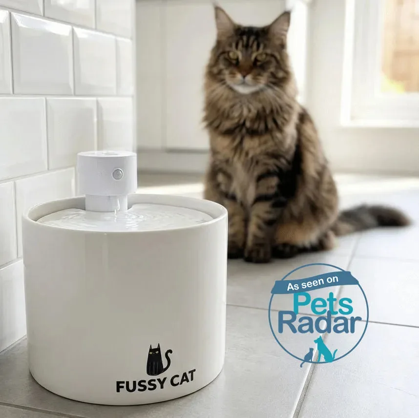 How to Choose a Water Fountain for Picky Cats