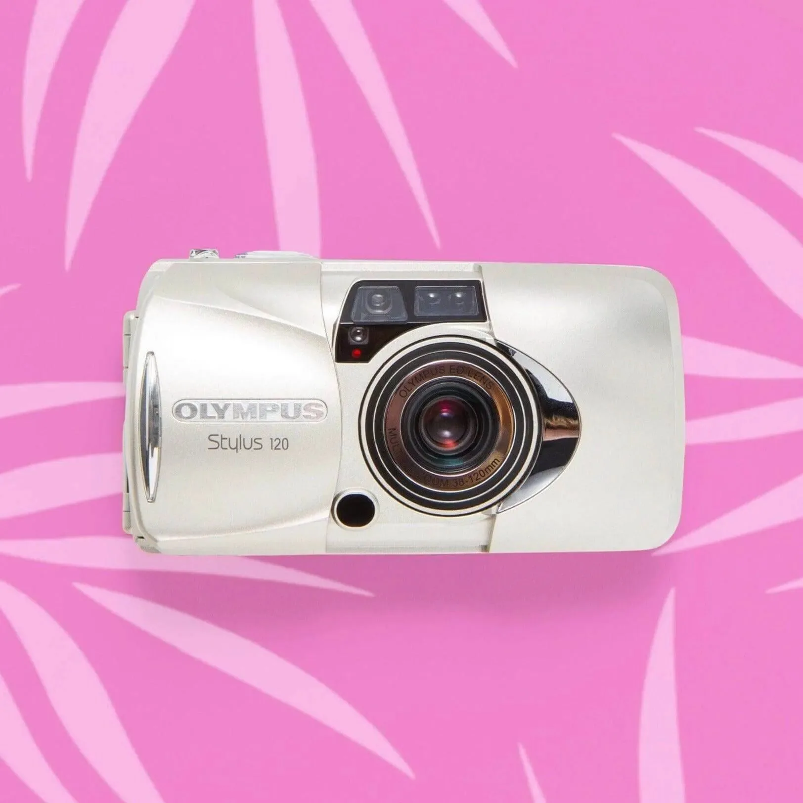Elegir correa para Olympus Stylus 120