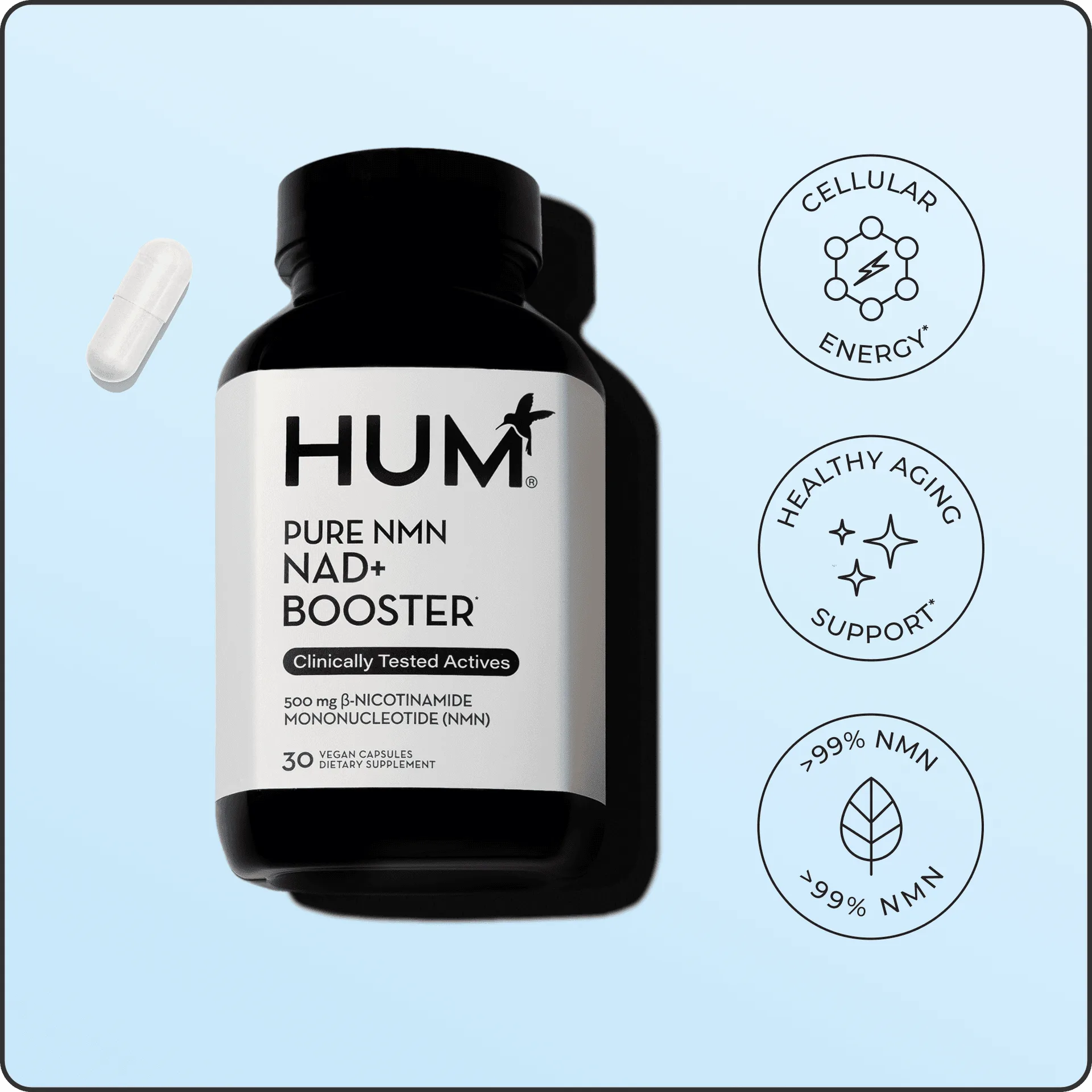 Energy Supplements Market Trends: What's New in 2026 for Natural Vitality