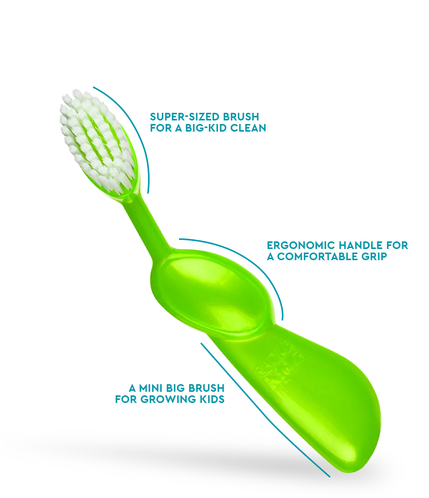 How to Brush Your Dog's Teeth with a Sustainable Toothbrush