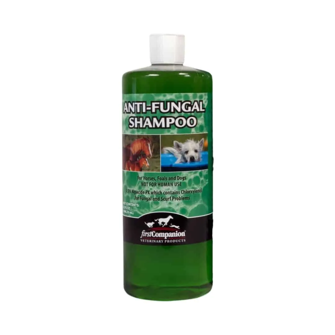 How to Choose the Right Dog Shampoo for Your Pet's Coat Type