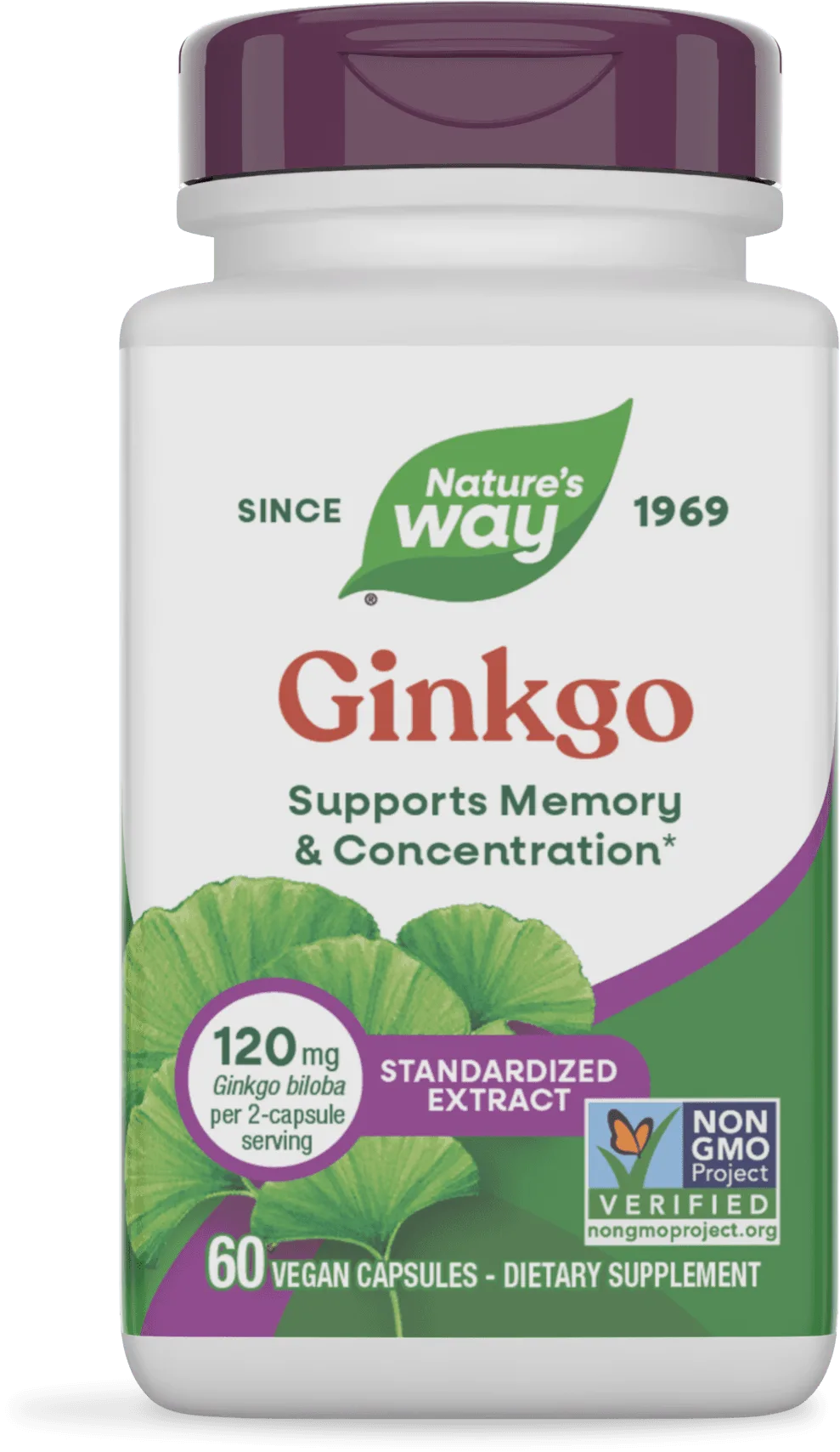 Ginkgo