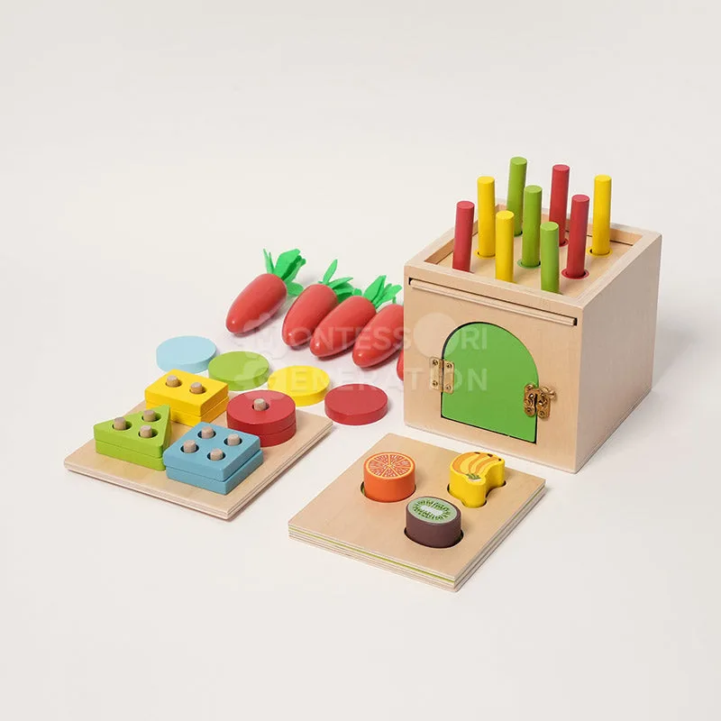 Montessori 6-in-1 Sorting Tool: Activities and Learning Benefits