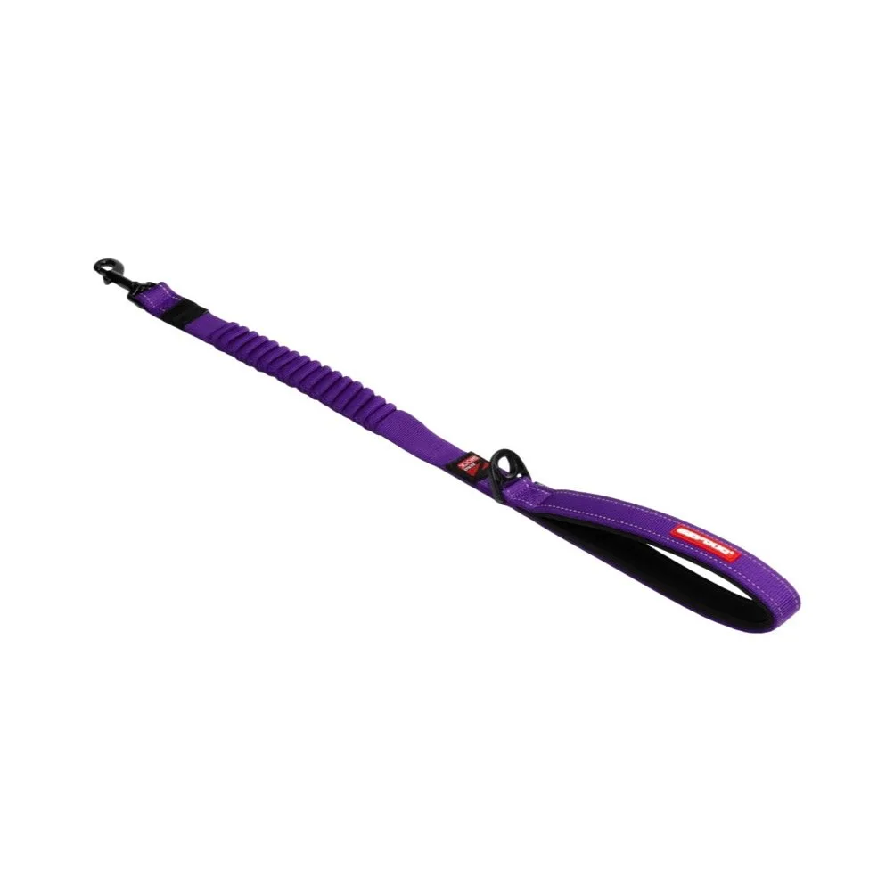 EzyDog Zero Shock Lead 64cm Purple