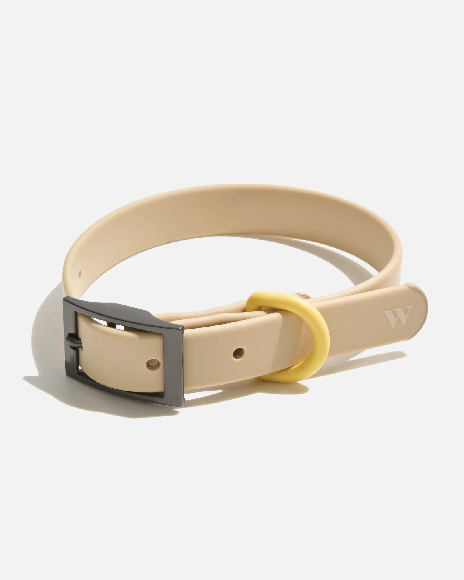 Waterproof Dog Collars: Are They Worth the Investment?