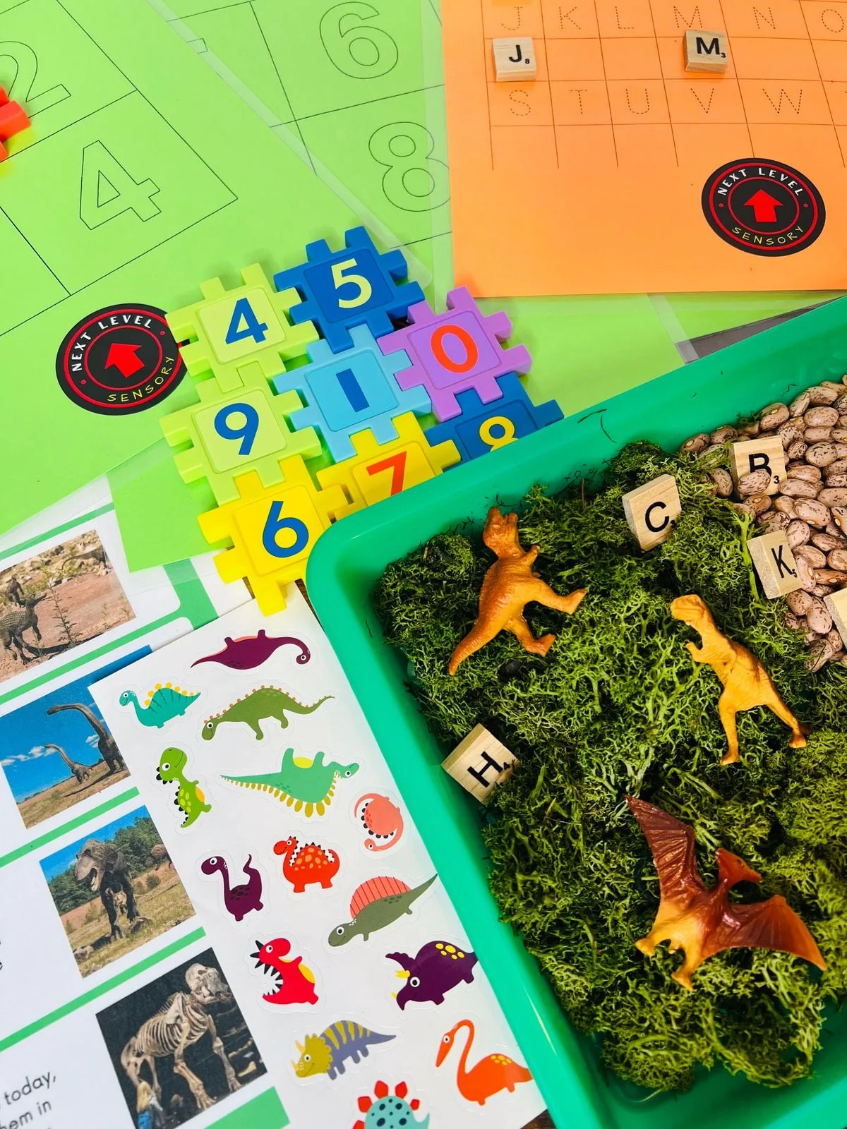 Sensory Box Activities: Keeping Kids Engaged