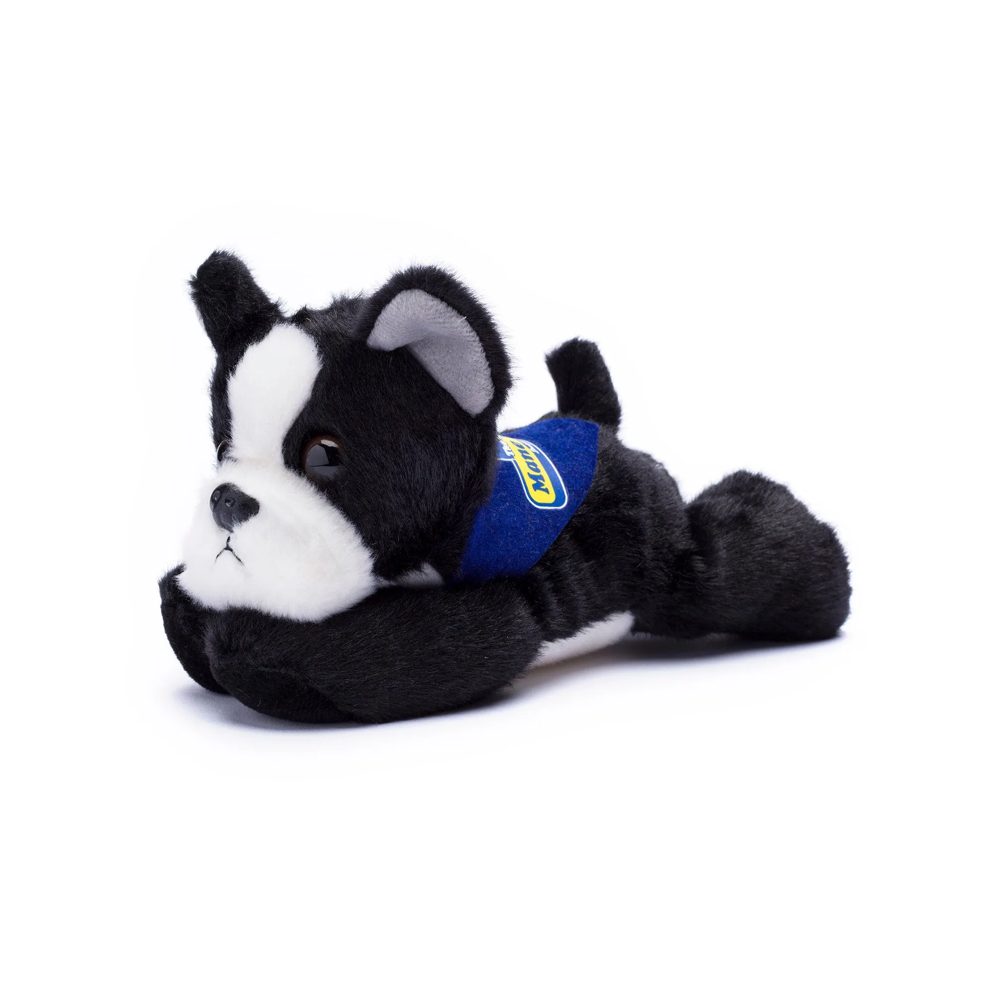 Perro de peluche: cuidados y consejos de exhibición