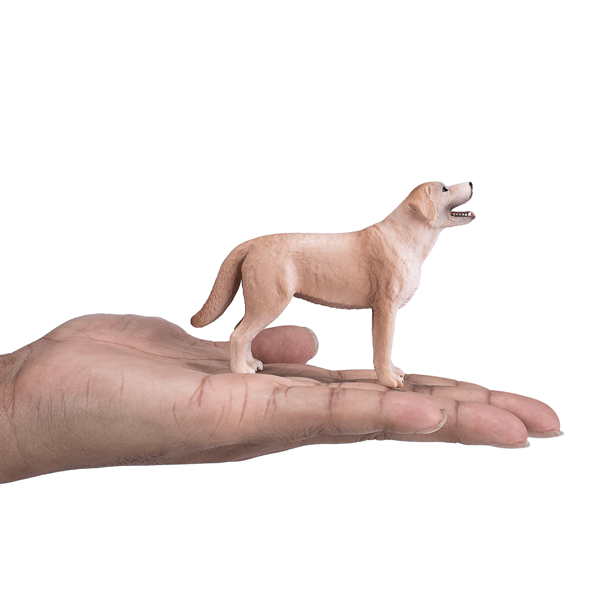 Labrador Figure Won't Stand? Fixes and Tips