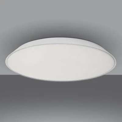 Febe Wall / Ceiling Light