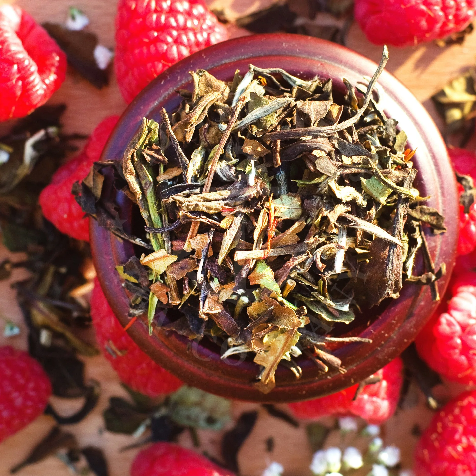Champagne + Berries