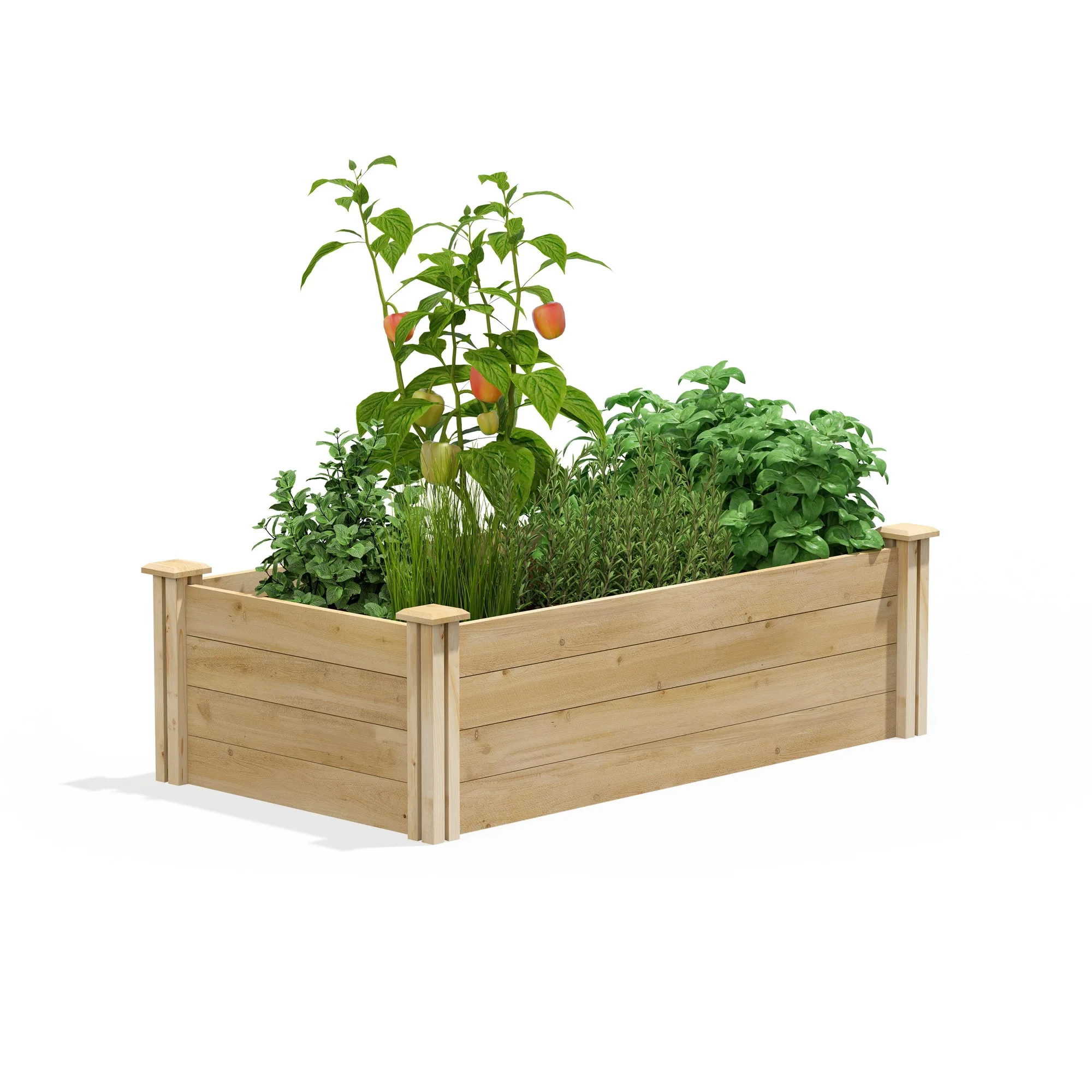 Carrés potagers surélevés en cèdre vs. jardinières surélevées : lequel choisir ?