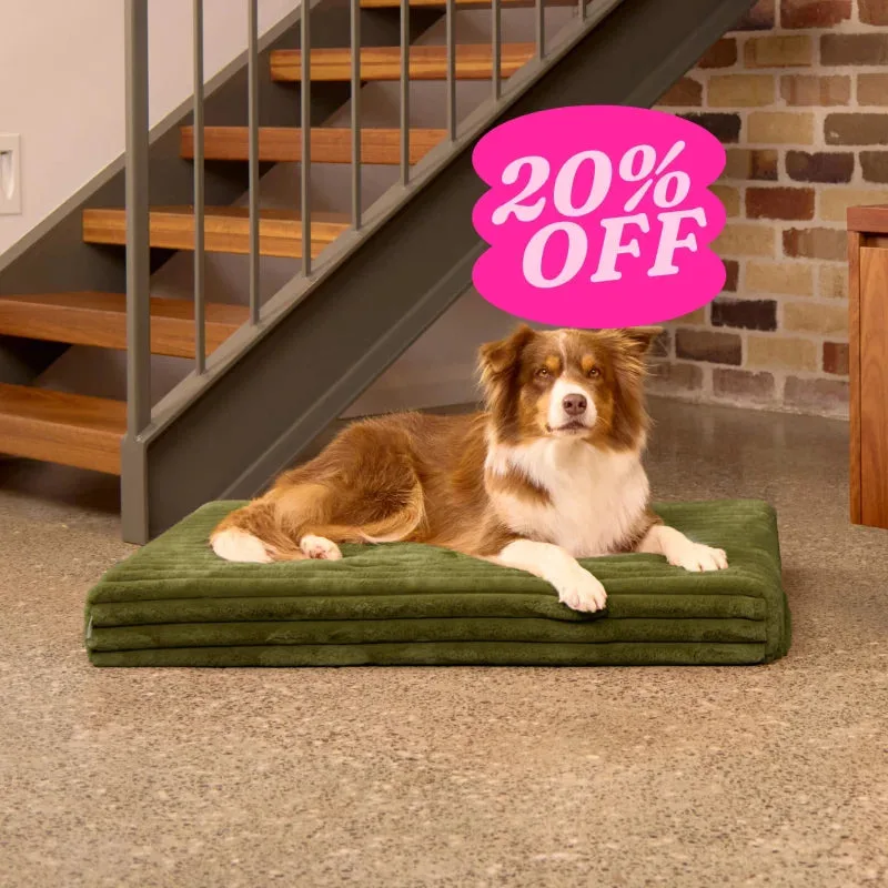 Orthopaedic Mattress - Puffer Fern