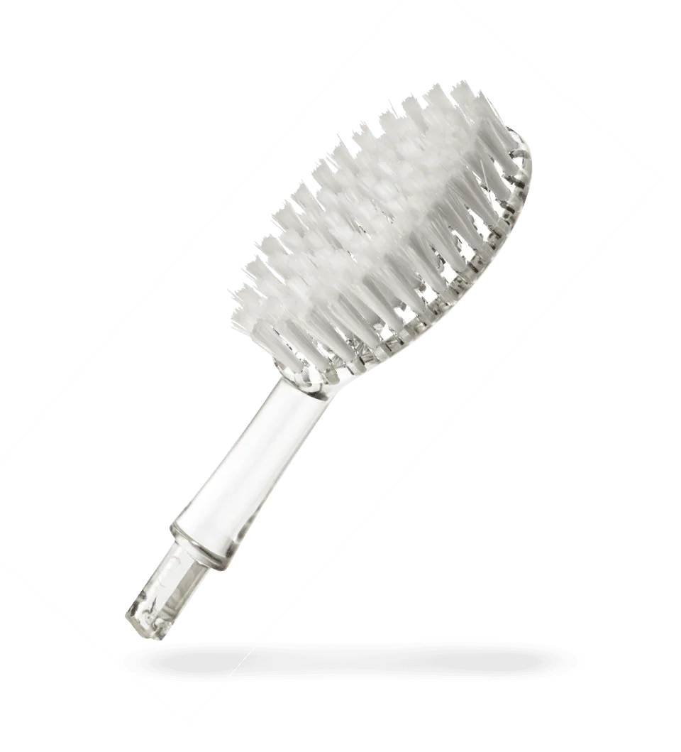 How to Replace Your Big Brush Toothbrush Replacement Heads Correctly