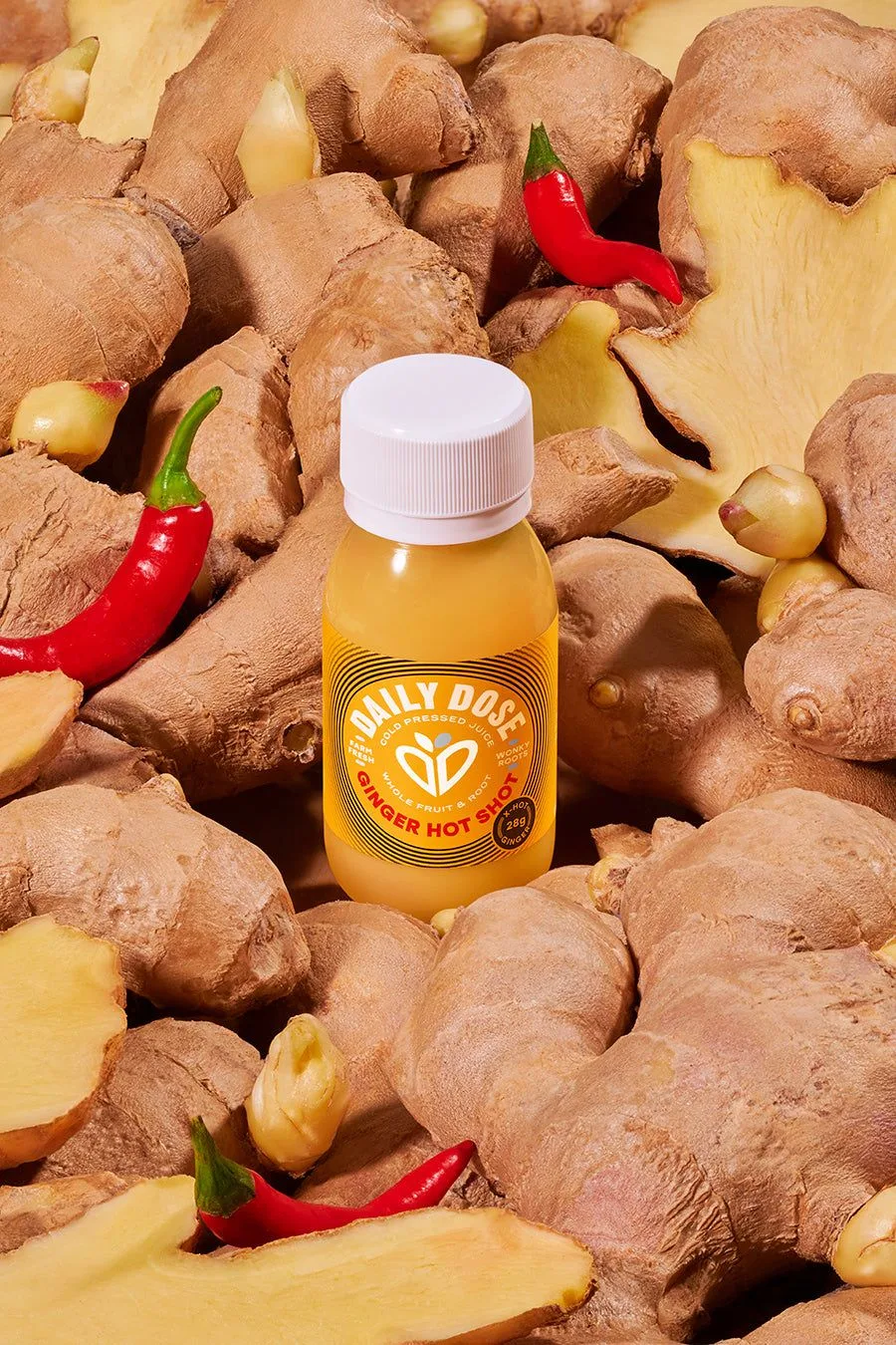 The Complete Guide to Daily Dose Juice Shots: Ginger, Turmeric, and More