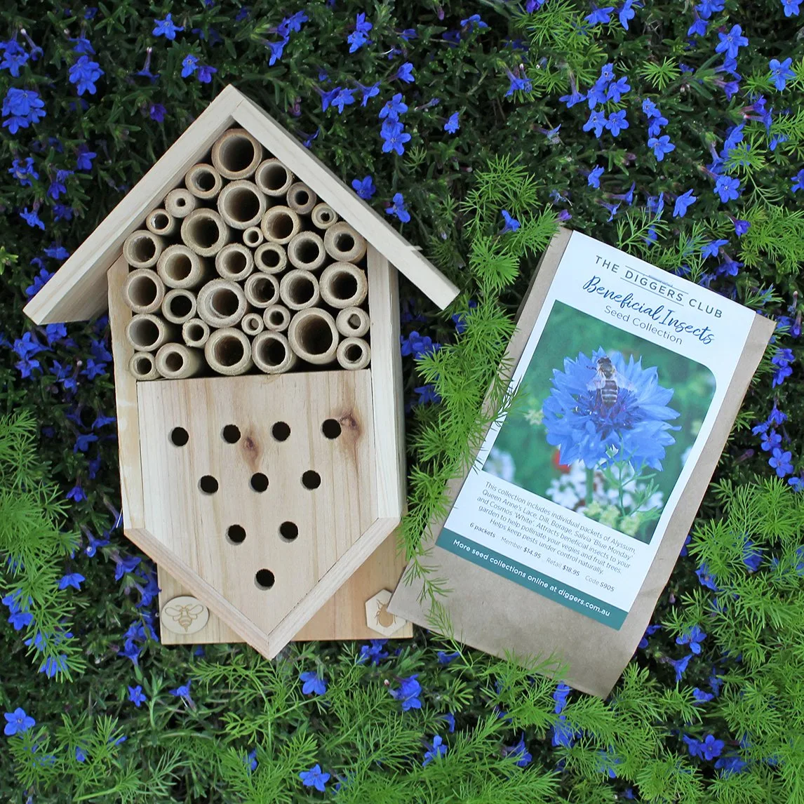 Insect House With Beneficial Insect Collection: What's Inside