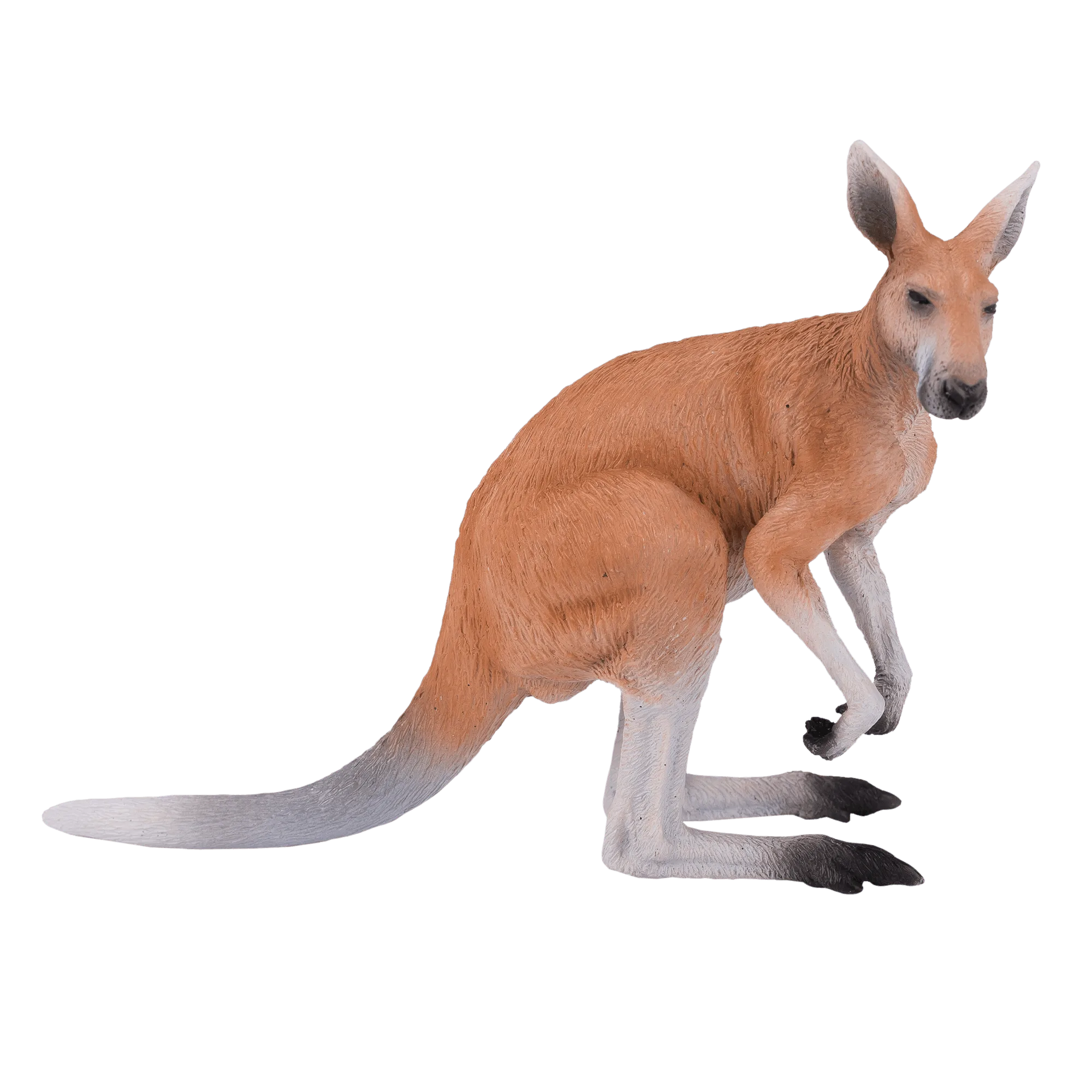 Kangaroo Figure Buying Guide for Collectors