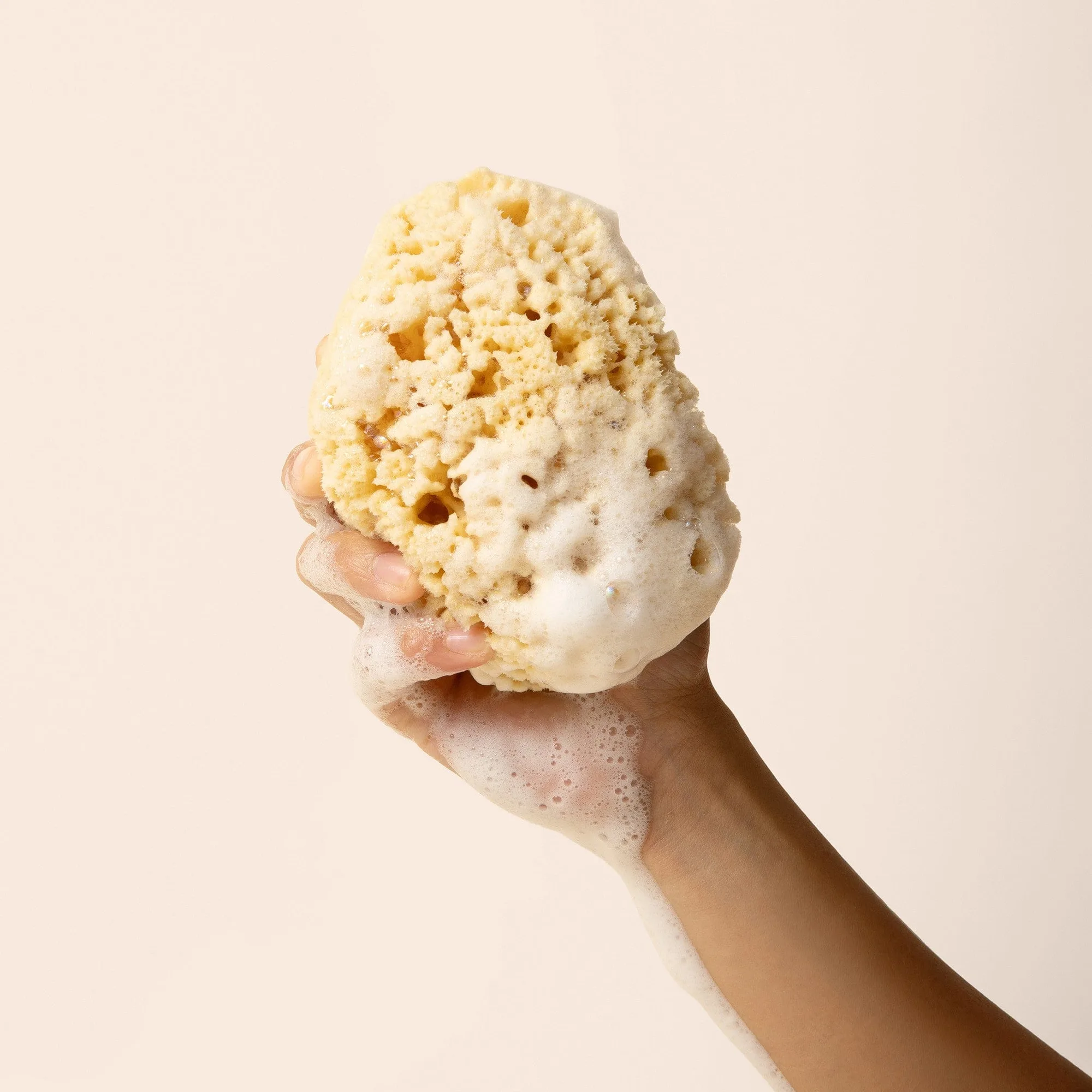 How to Care for Sea Sponges and Terry Bath Mitts