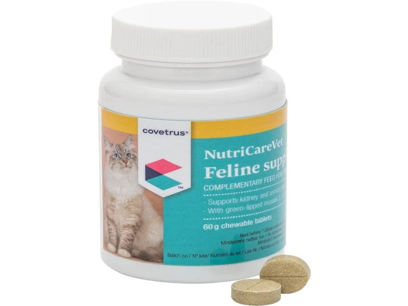 How to Give Your Cat Urinary Support Tablets