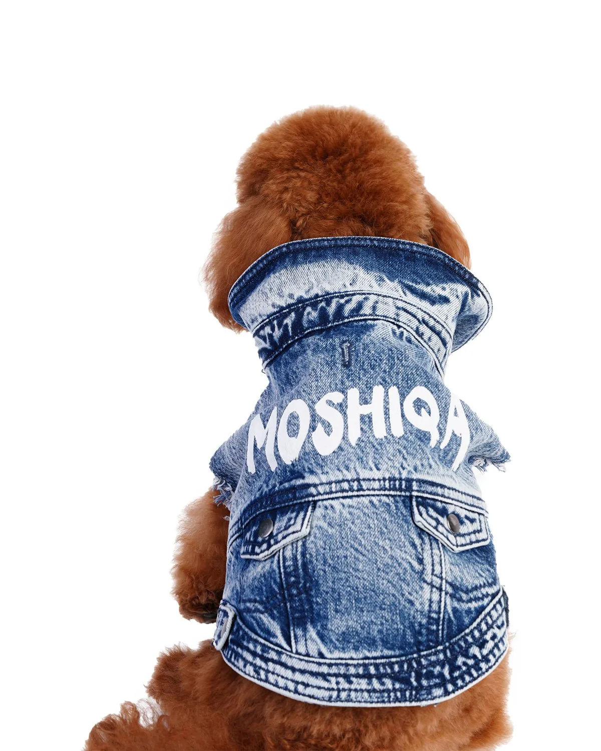How to Choose the Right Size Moshiqa Dog Harness for Small Breeds: A Complete Buying Guide