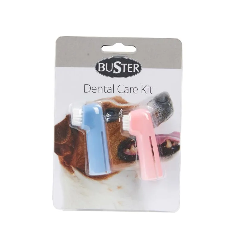 Kit de soins dentaires BUSTER 1 brosse + 1 masseur de gencives
