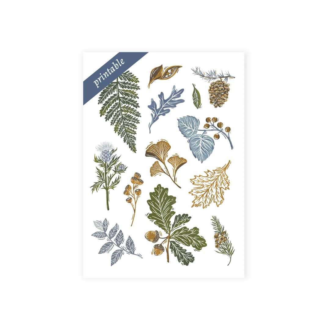 Forest Impressions vs Bookshelf Stickers: Which to Choose?
