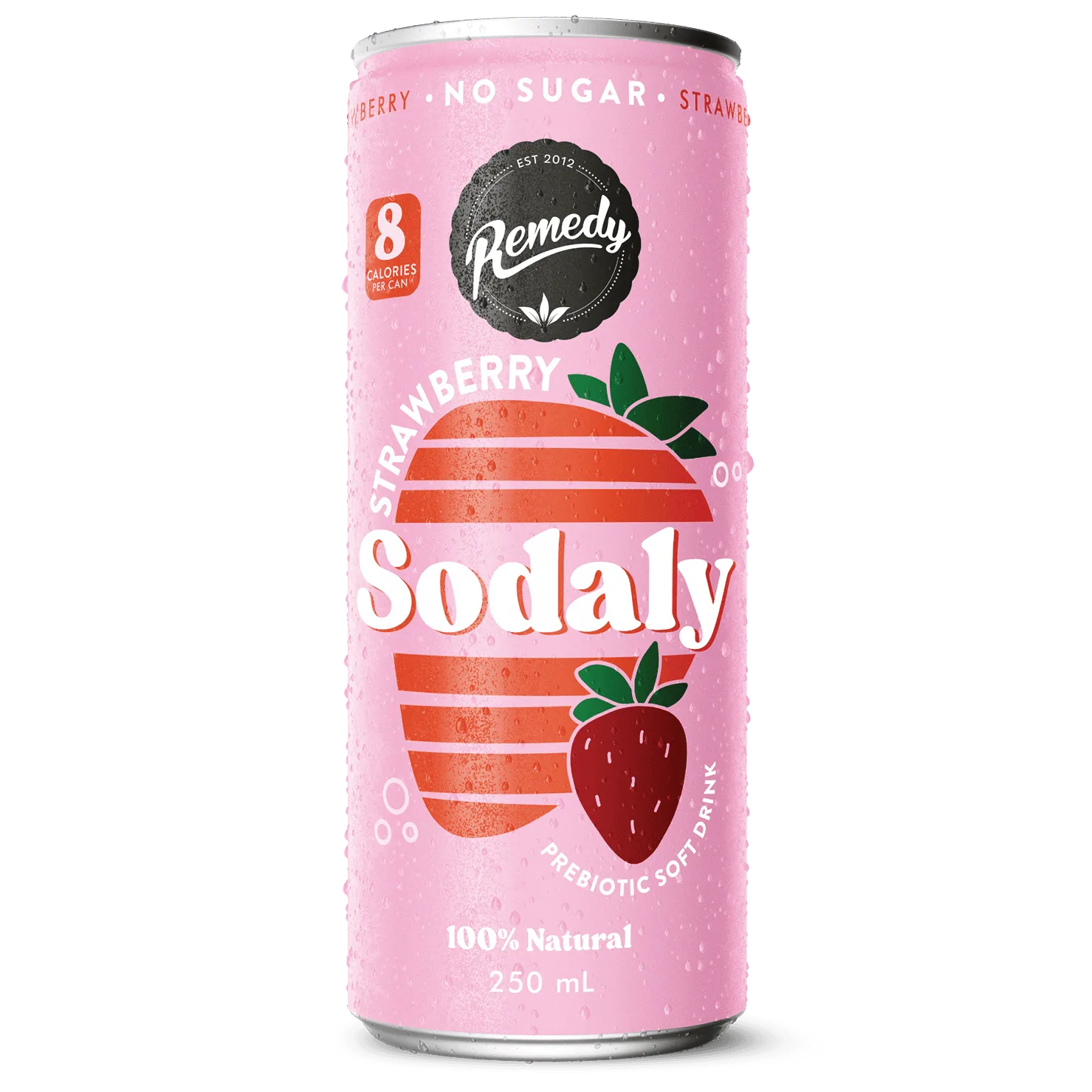 Buying Guide for Remedy Sodaly: Find Your Favorite Flavor