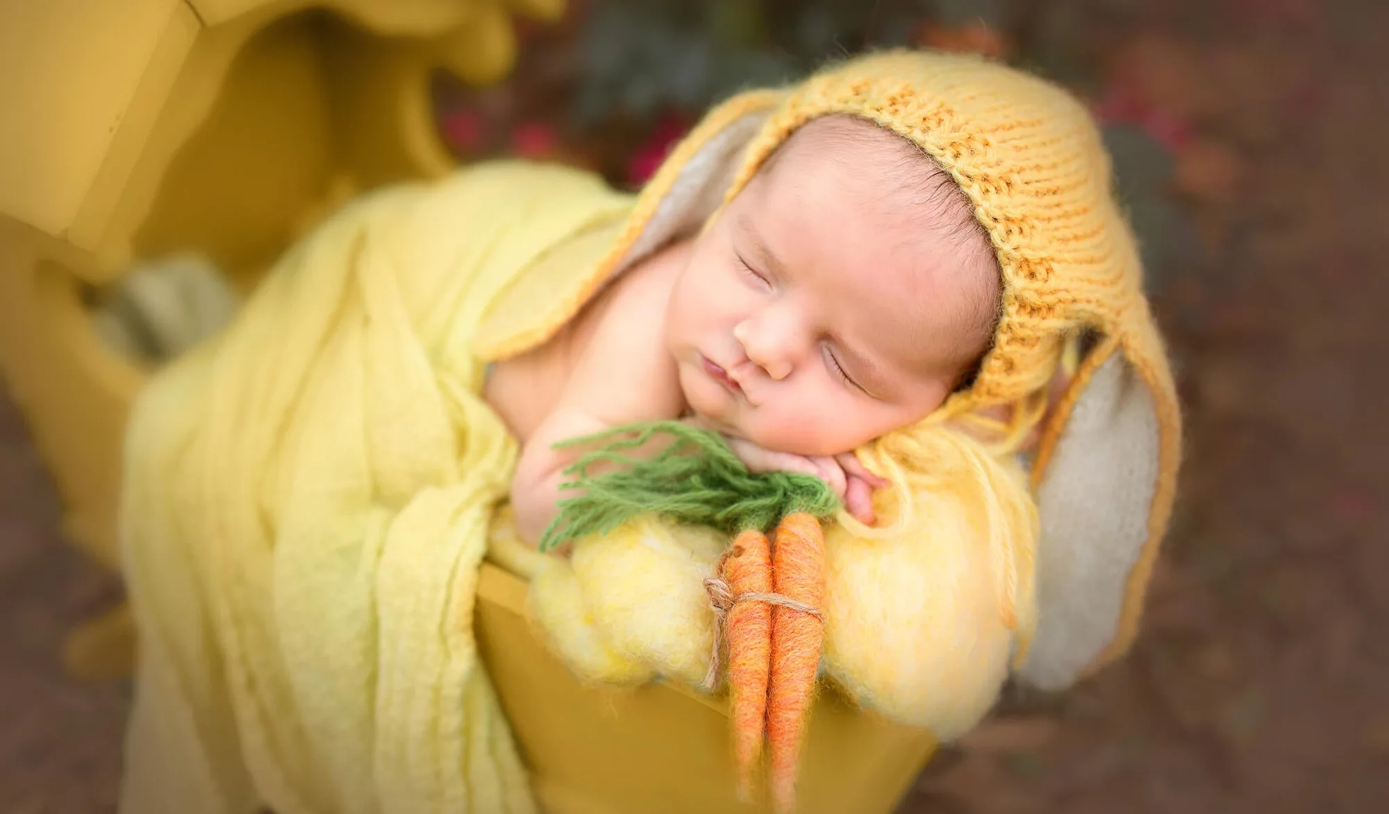 Lightroom Presets vs Photoshop Actions: Which Fits?