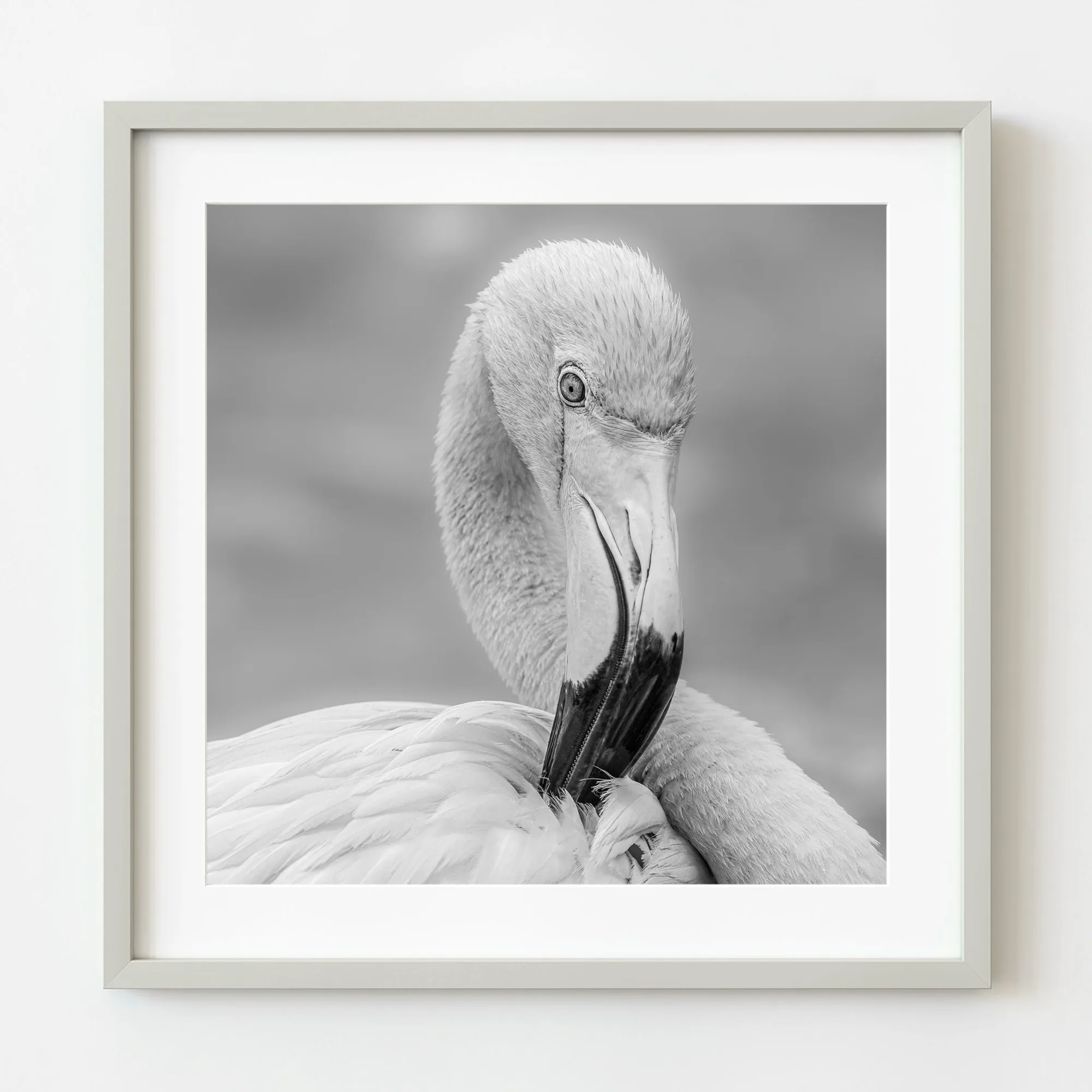 Headshot Of Flamingo in black and white | Limited Edition of 10