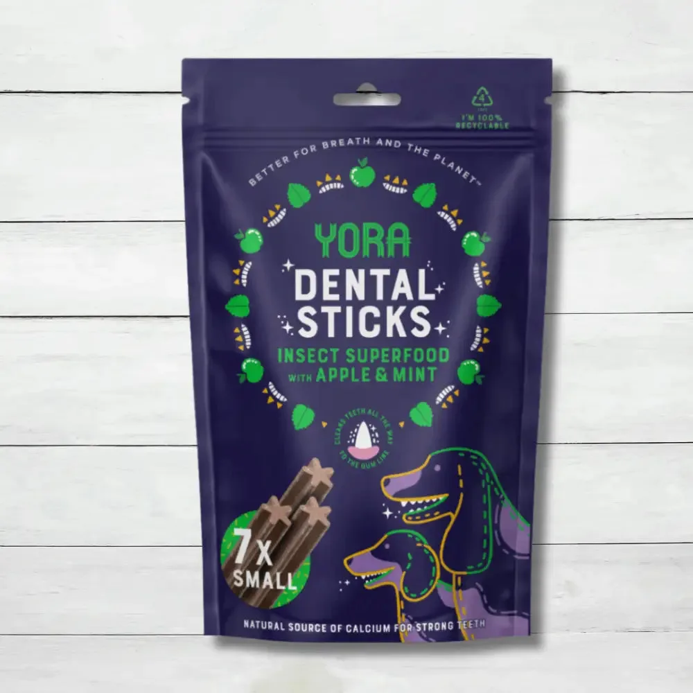 Choosing Safe Natural Chews for Dogs by Chewing Style