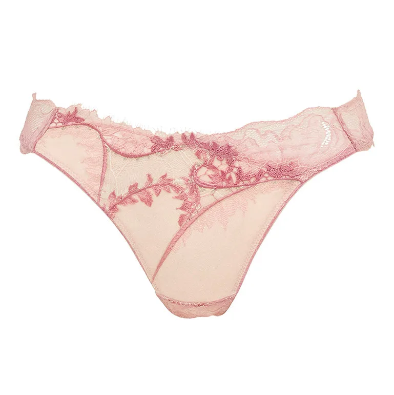 Viola Thong 26S1