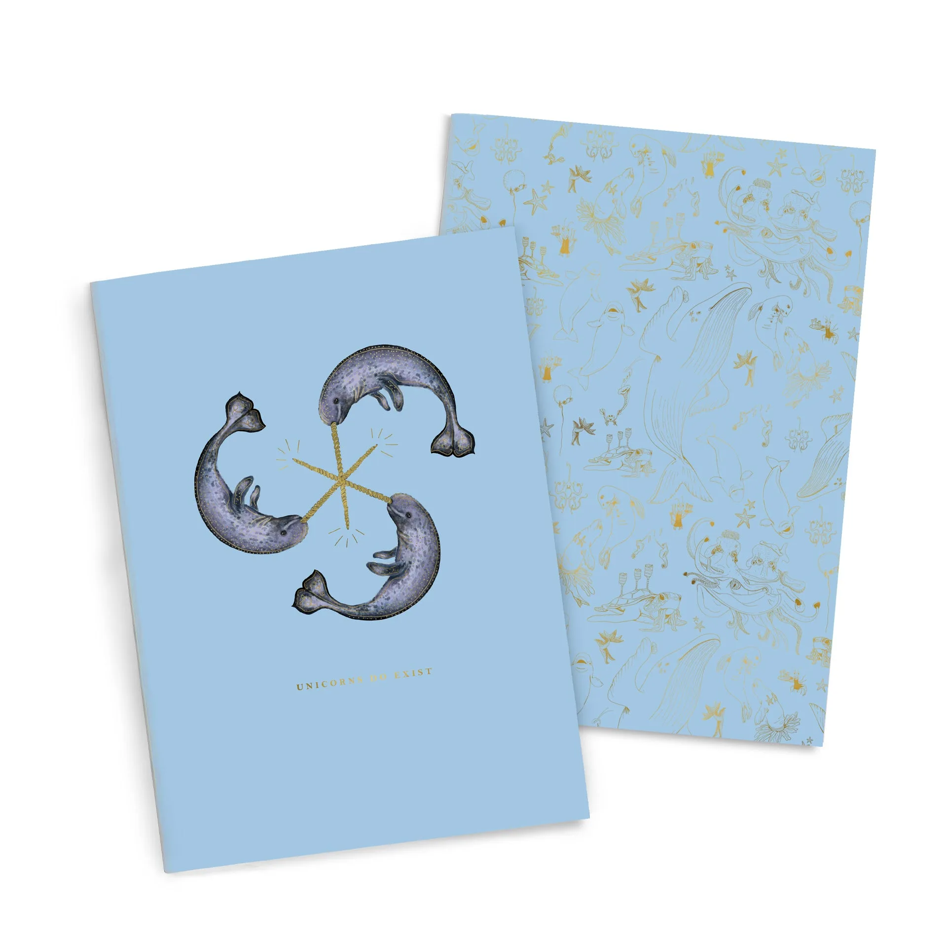 Jellyfish vs Narwhal Notebook Duo: Which to Pick