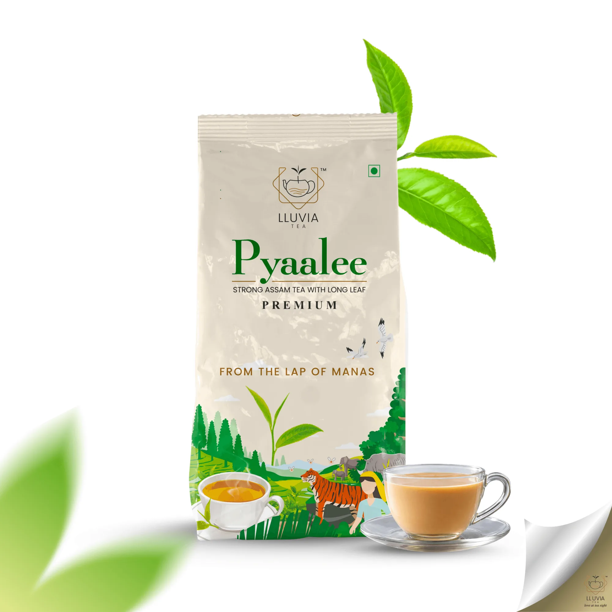 Pyaalee Black Assam Tea pro silný Kadak Chai | LLuvia Tea | 100 g - 1 kg