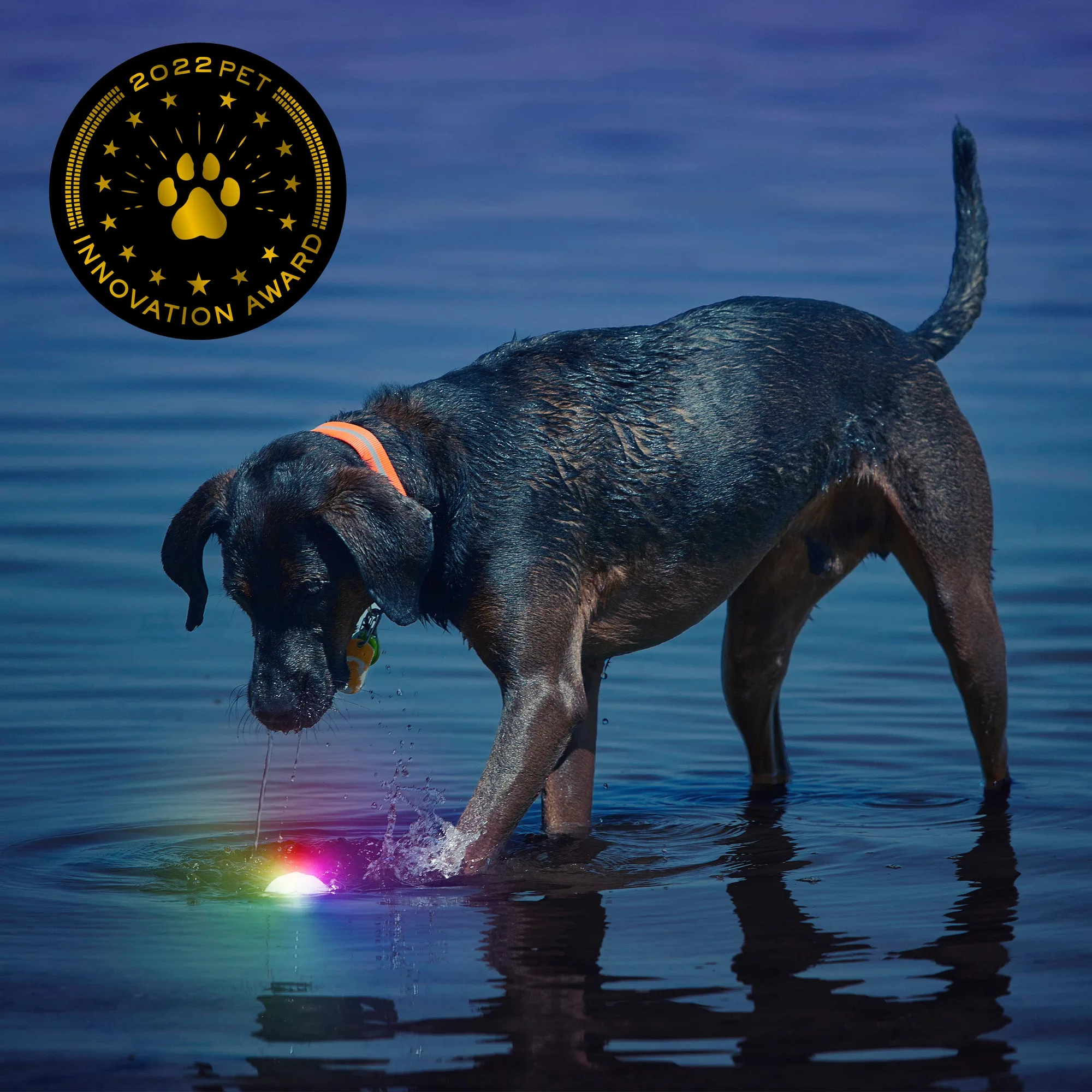 GlowStreak® LED Ball - Disc-O