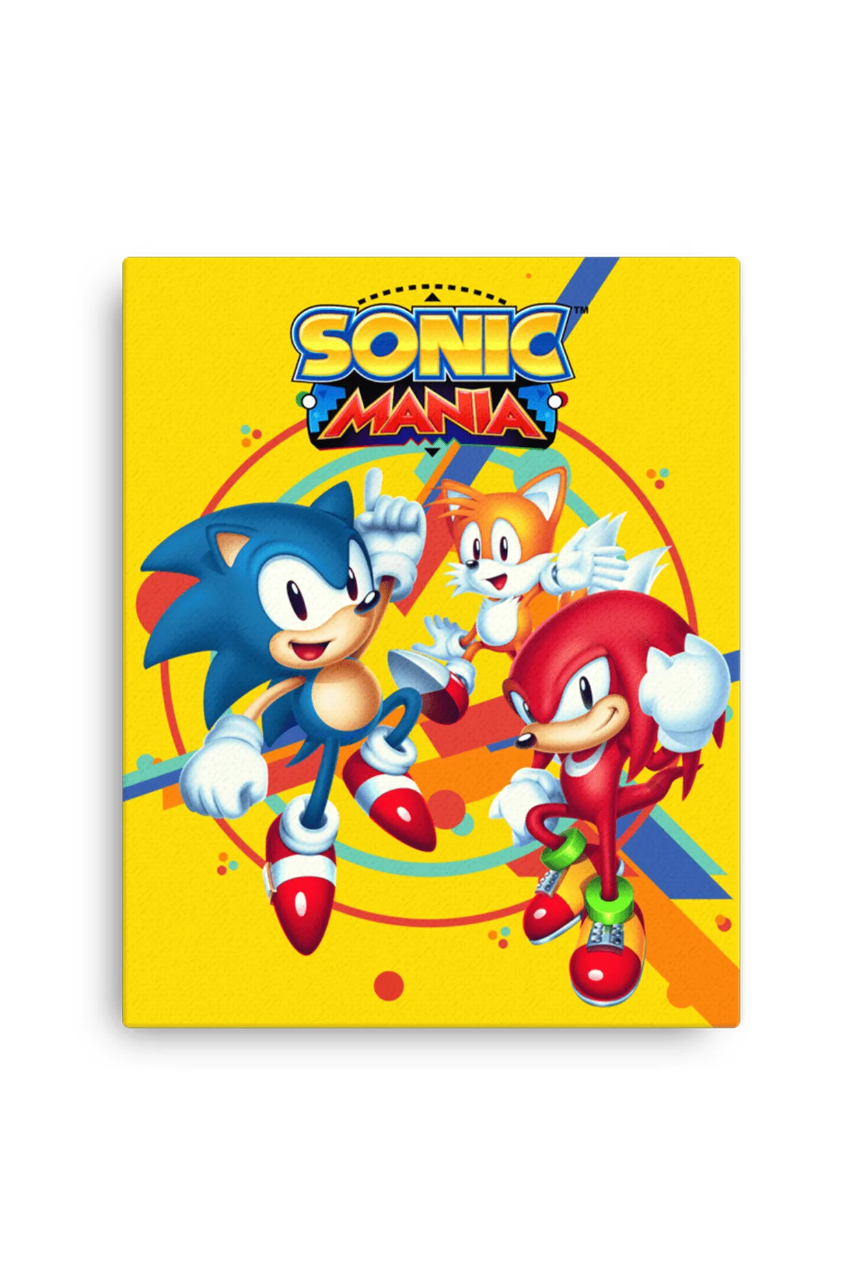 Sonic Mania Canvas Print: Framing & Display Ideas