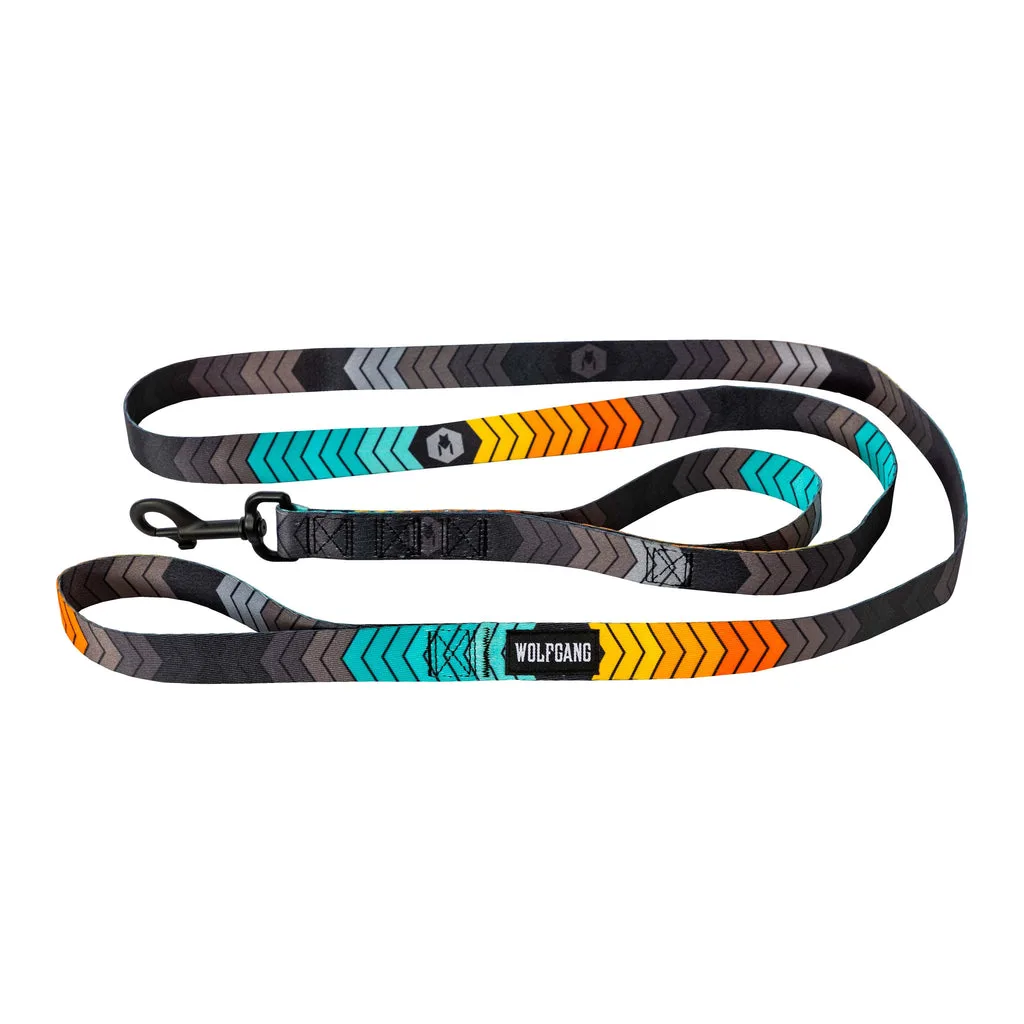 How to Choose the Best Dual-Handle Leash for Your Dog: A Complete Guide