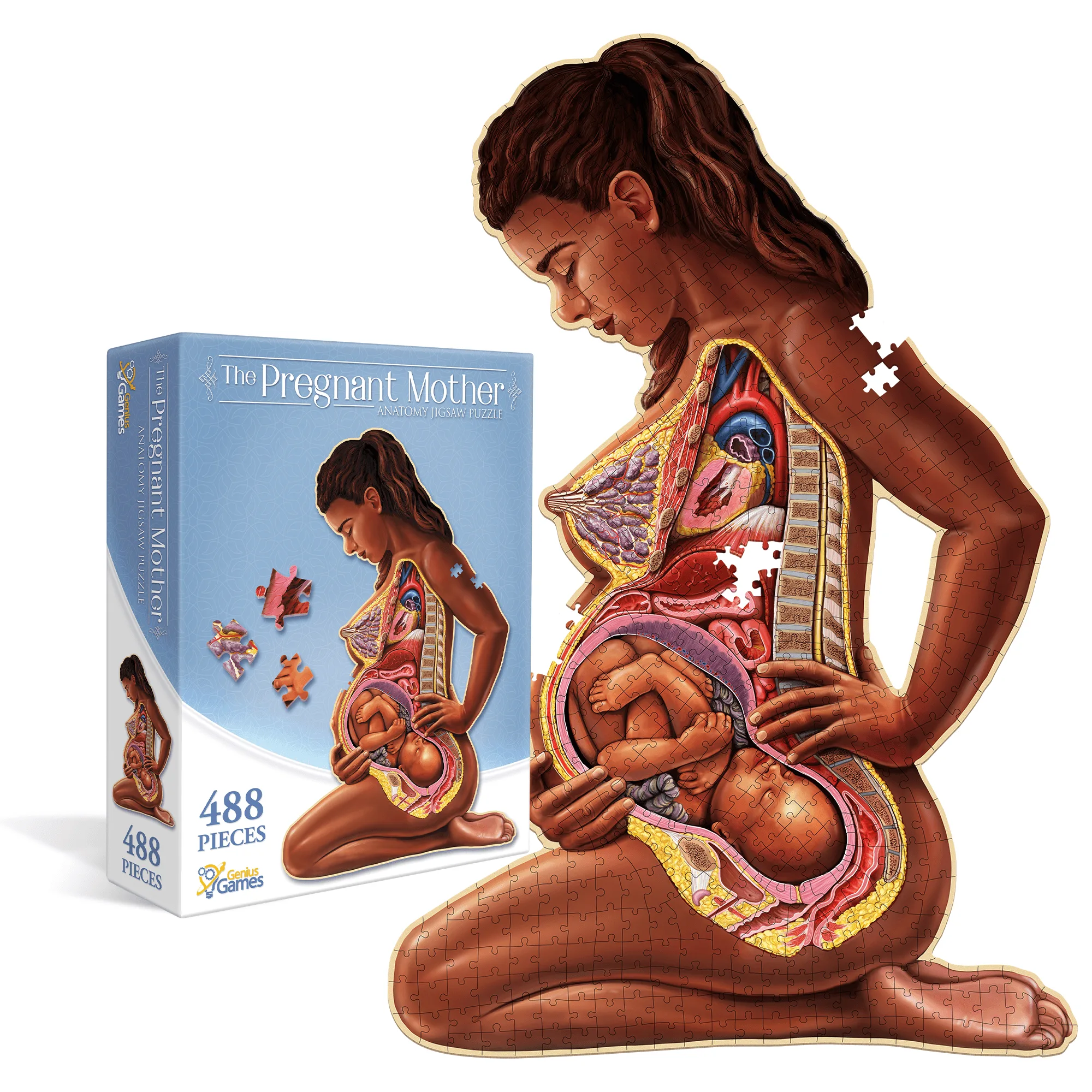 Puzle de anatomía madre embarazada | Puzle adulto de 488 piezas científicamente preciso | Puzle educativo y entretenido tamaño póster 3ft x 2ft | Regalo ideal para madres, educador