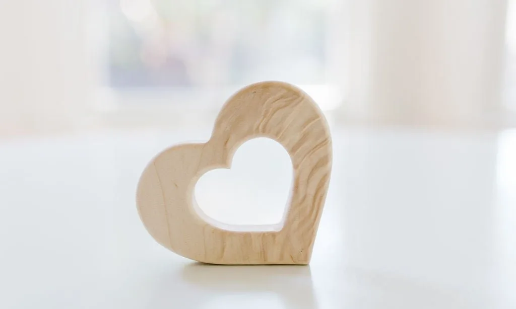 Bannor Wooden Puzzles vs Educational Flash Cards: Which Builds Better Cognitive Skills?