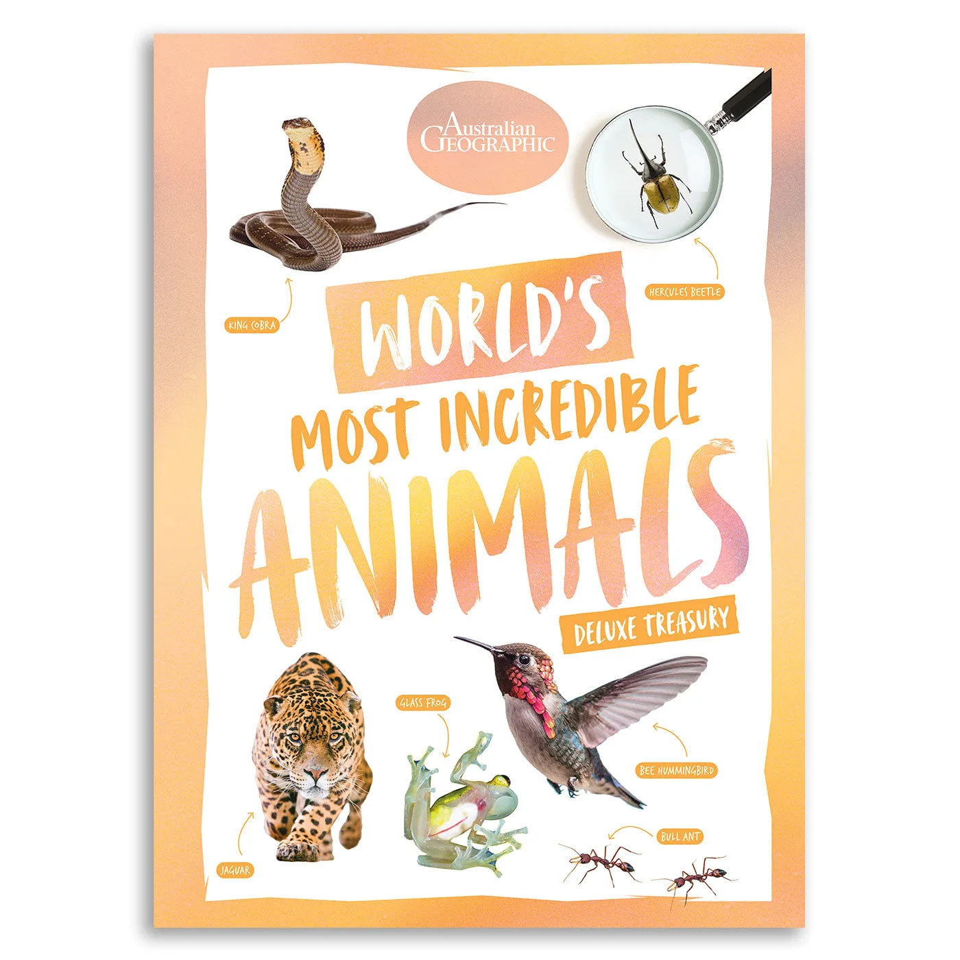 Animali più incredibili vs Straordinari e in pericolo: Quale acquistare?