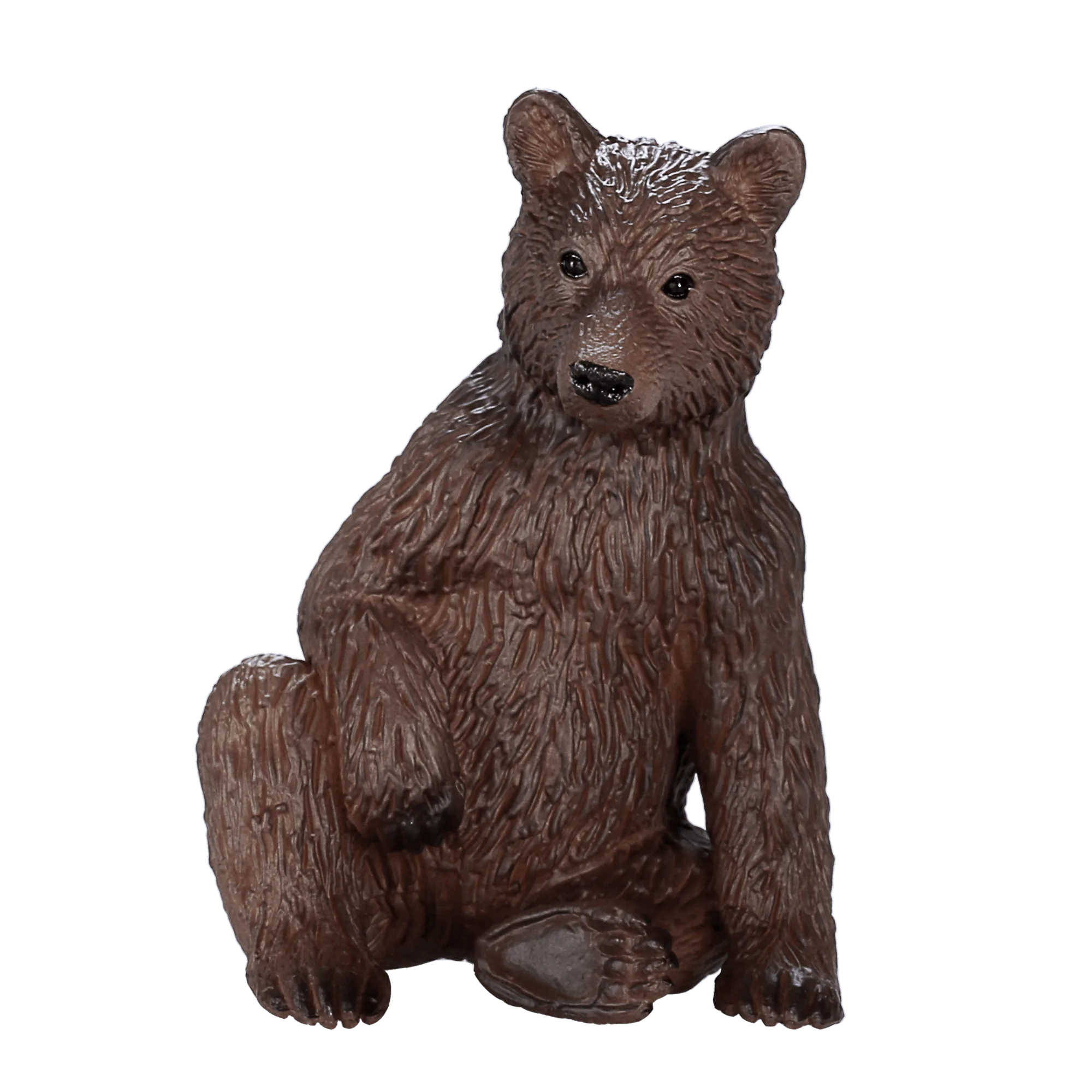 Ourson Grizzly