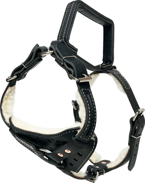 Leather Reflective Standing Handle Harness